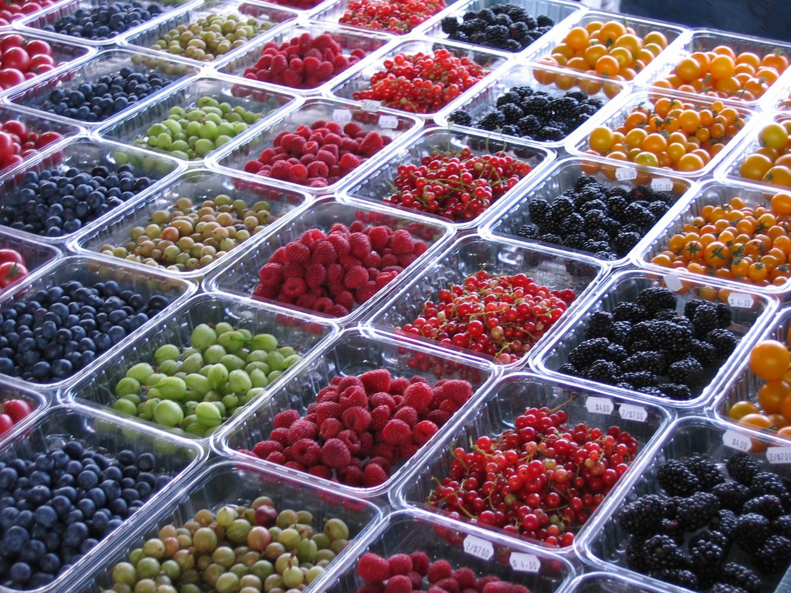 Jean-Talon Market in Montreal